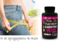 L-carnitina – beneficii pentru organismul tau
